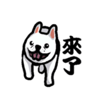 French bulldog's normal life（個別スタンプ：4）