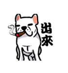 French bulldog's normal life（個別スタンプ：7）