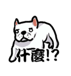 French bulldog's normal life（個別スタンプ：8）