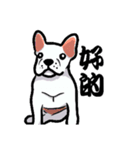 French bulldog's normal life（個別スタンプ：14）