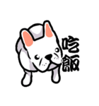 French bulldog's normal life（個別スタンプ：17）