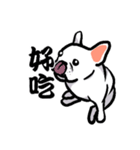 French bulldog's normal life（個別スタンプ：18）