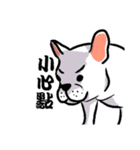 French bulldog's normal life（個別スタンプ：19）