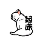 French bulldog's normal life（個別スタンプ：21）