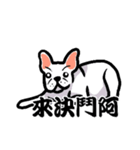 French bulldog's normal life（個別スタンプ：24）