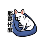 French bulldog's normal life（個別スタンプ：30）