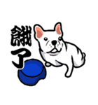 French bulldog's normal life（個別スタンプ：31）