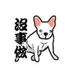 French bulldog's normal life（個別スタンプ：35）