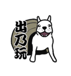 French bulldog's normal life（個別スタンプ：37）