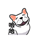 French bulldog's normal life（個別スタンプ：39）