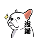 French bulldog's normal life（個別スタンプ：40）