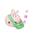 The Rabbit Expression daily（個別スタンプ：7）