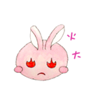 The Rabbit Expression daily（個別スタンプ：12）