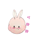 The Rabbit Expression daily（個別スタンプ：14）