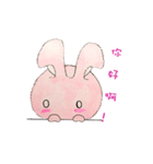 The Rabbit Expression daily（個別スタンプ：17）