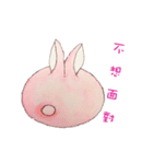 The Rabbit Expression daily（個別スタンプ：21）