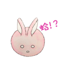 The Rabbit Expression daily（個別スタンプ：28）