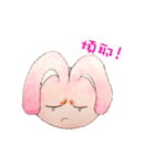 The Rabbit Expression daily（個別スタンプ：33）