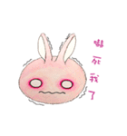 The Rabbit Expression daily（個別スタンプ：38）