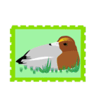 かわいい鳥たちの切手風スタンプ（個別スタンプ：26）