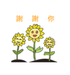 Summer sunflower（個別スタンプ：3）