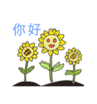 Summer sunflower（個別スタンプ：4）