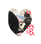 lovedogandcat（個別スタンプ：2）