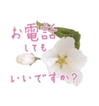 手書きの丁寧な言葉に桜の花を添えて（個別スタンプ：14）