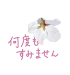 手書きの丁寧な言葉に桜の花を添えて（個別スタンプ：28）