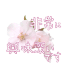 手書きの丁寧な言葉に桜の花を添えて（個別スタンプ：33）