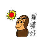 orangutan knows you（個別スタンプ：13）