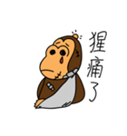 orangutan knows you（個別スタンプ：15）