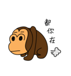 orangutan knows you（個別スタンプ：39）