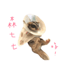 Paulas daily life sugar glider（個別スタンプ：10）