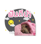 Butter the lovely dog（個別スタンプ：8）