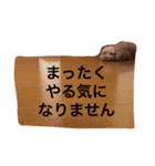 トイプーるなのひとり暮らし1（個別スタンプ：4）