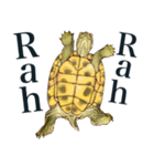 Trachemys scripta Sticker Turtles（個別スタンプ：20）