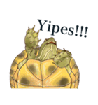 Trachemys scripta Sticker Turtles（個別スタンプ：25）