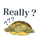 Trachemys scripta Sticker Turtles（個別スタンプ：32）