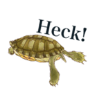 Trachemys scripta Sticker Turtles（個別スタンプ：33）