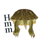 Trachemys scripta Sticker Turtles（個別スタンプ：35）