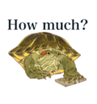 Trachemys scripta Sticker Turtles（個別スタンプ：37）