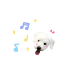 DOG-そら-（個別スタンプ：3）