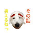 DOG-そら-（個別スタンプ：16）