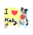 Kelly's Daily (900073000003121)（個別スタンプ：27）