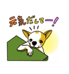 ちわわんこちゃん（個別スタンプ：7）