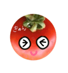 tomato san（個別スタンプ：6）