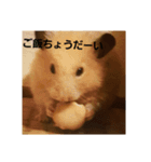 hamster hamster 2018（個別スタンプ：2）