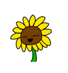 sunflower emotion（個別スタンプ：1）