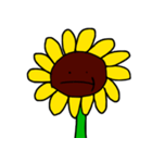 sunflower emotion（個別スタンプ：6）